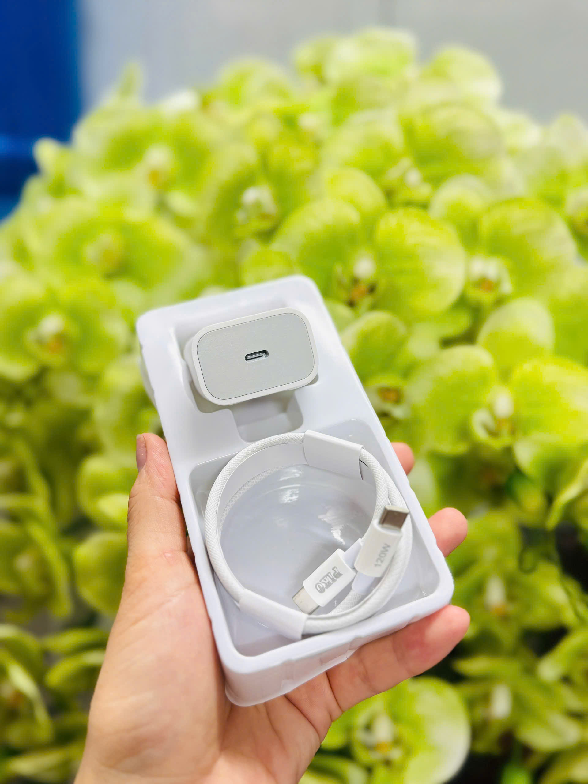 Bộ sạc TypeC-TypeC Piko B25 25w cho IP 15,16