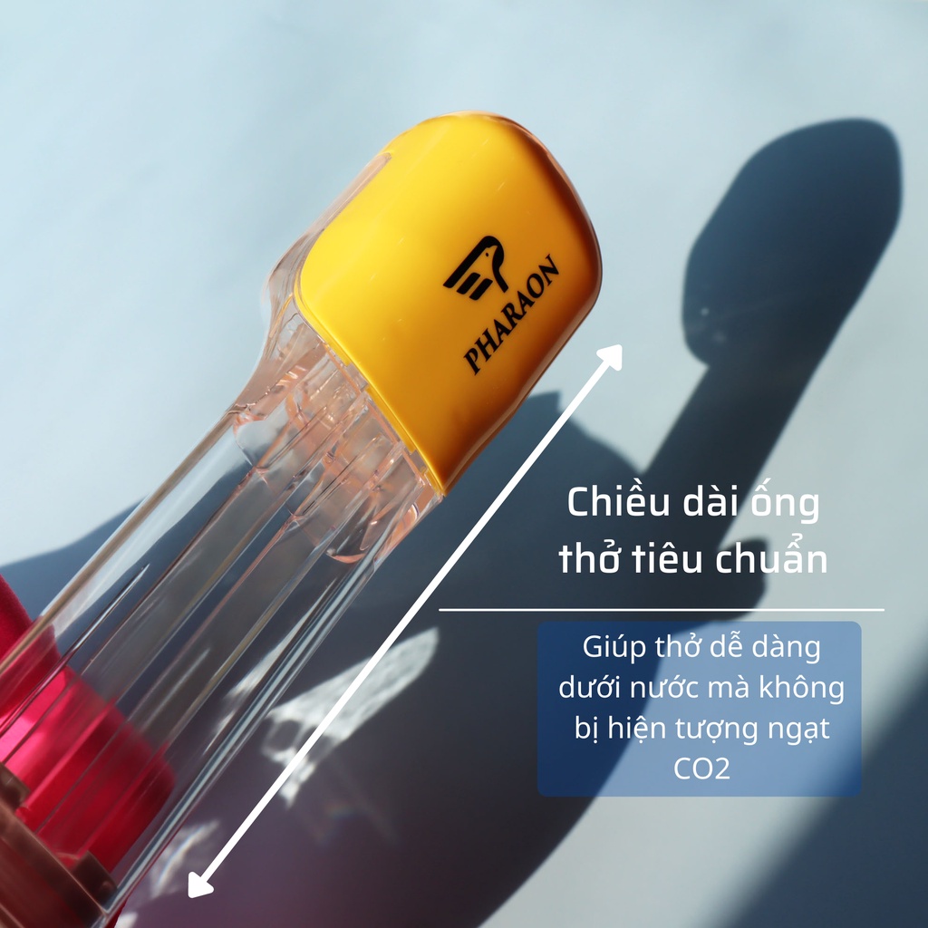 Mặt nạ lặn biển cao cấp. màu ngẩu nhiên