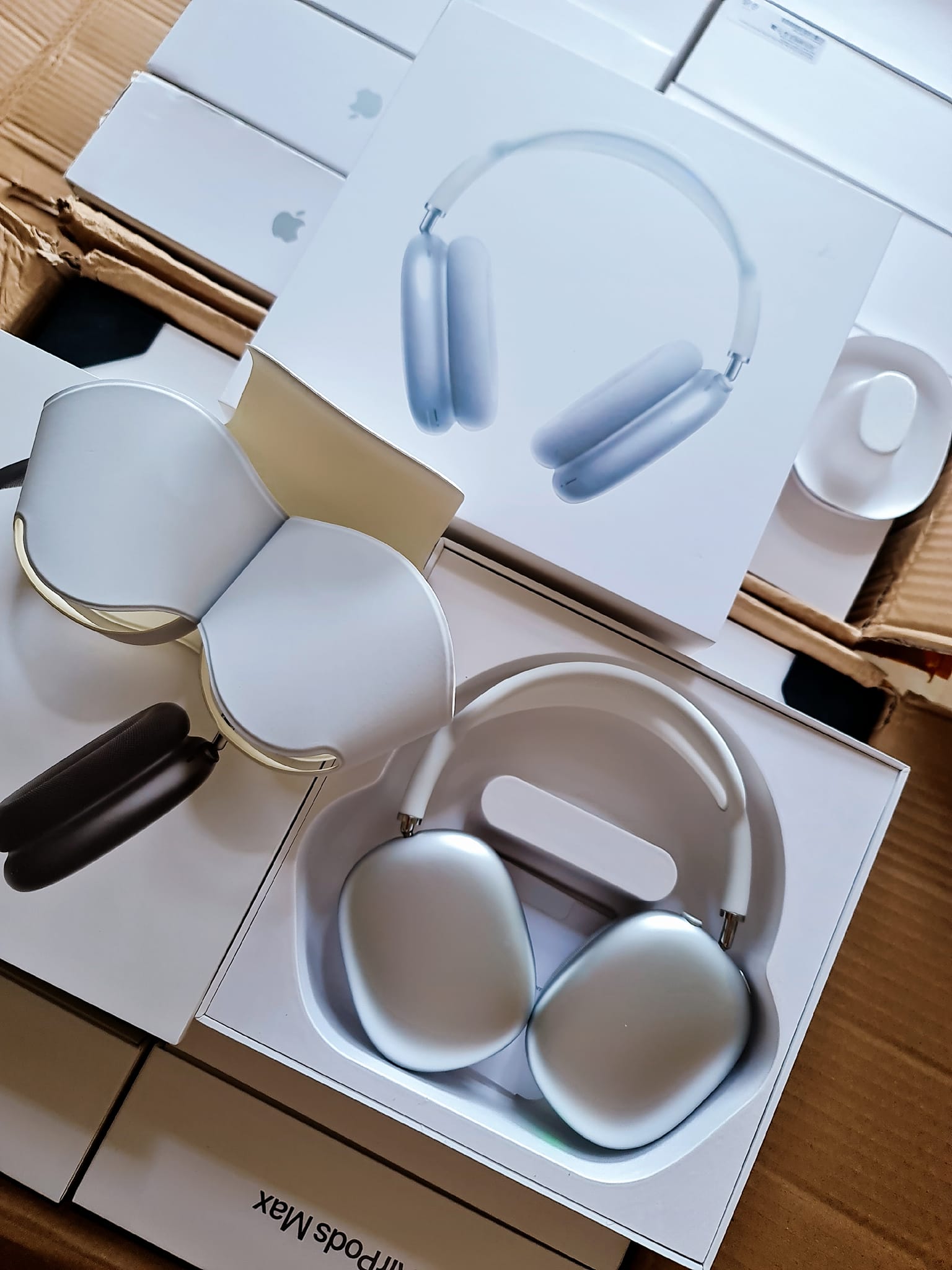 Tai nghe chụp Tiger AP Max Louda 1561M Hổ Vằn-Vỏ kim loại