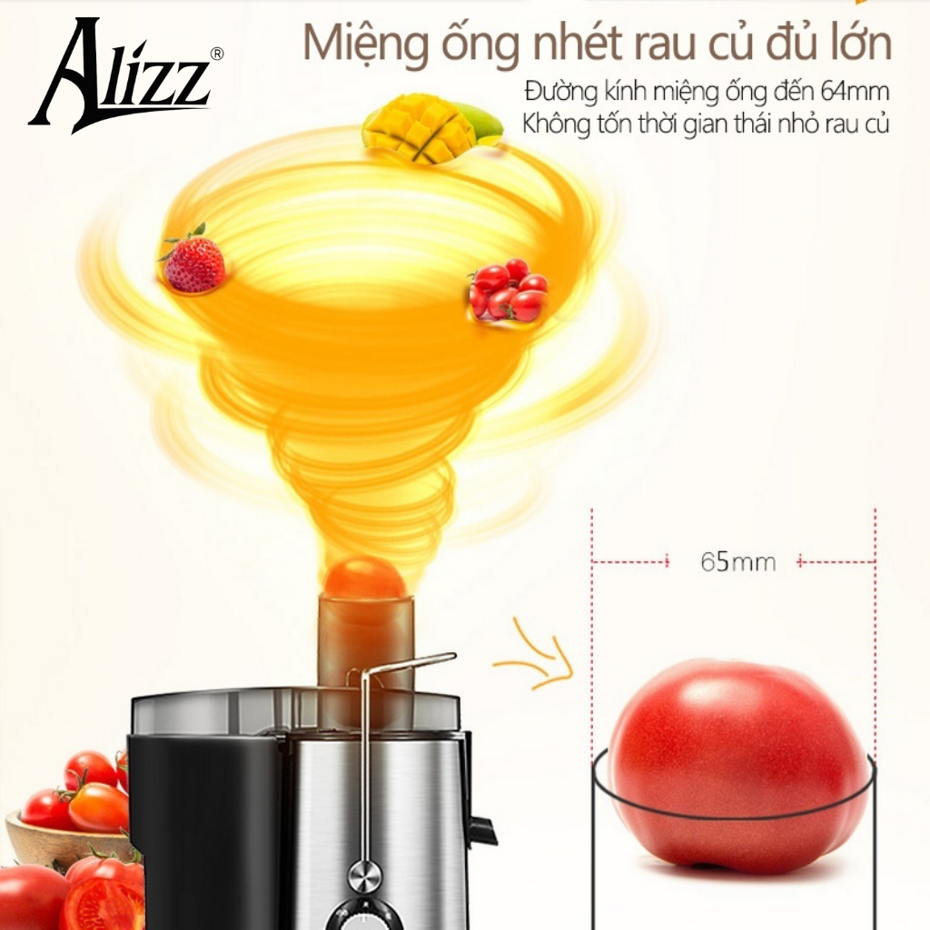 Máy ép trái cây nguyên chất 1000w ALIZZ 13602 500ml