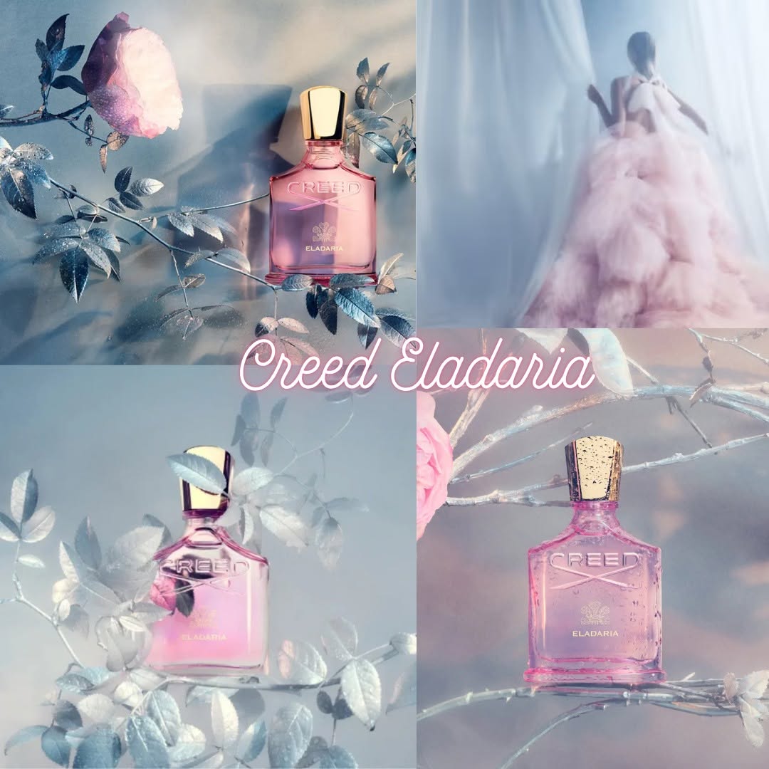 CREED ELADARIA – Bản giao hưởng hoa hồng giữa bình minh sương bạc 🌸✨