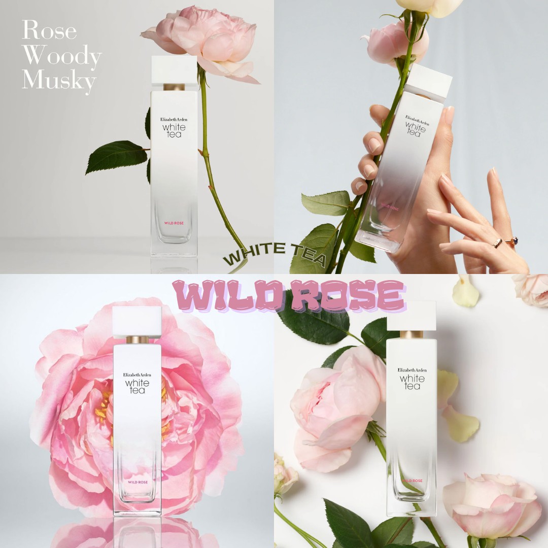 WHITE TEA WILD ROSE - Đóa hồng dại đầu mùa.