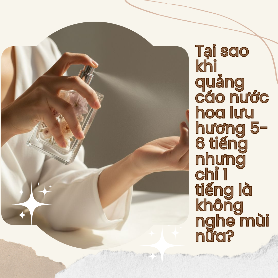 Tại sao khi quảng cáo nước hoa lưu hương 5-6 tiếng nhưng chỉ 1 tiếng là không nghe mùi nữa?