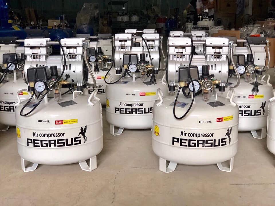 Máy nén khí không dầu Pegasus 1HP 40L TM-OF750-40L