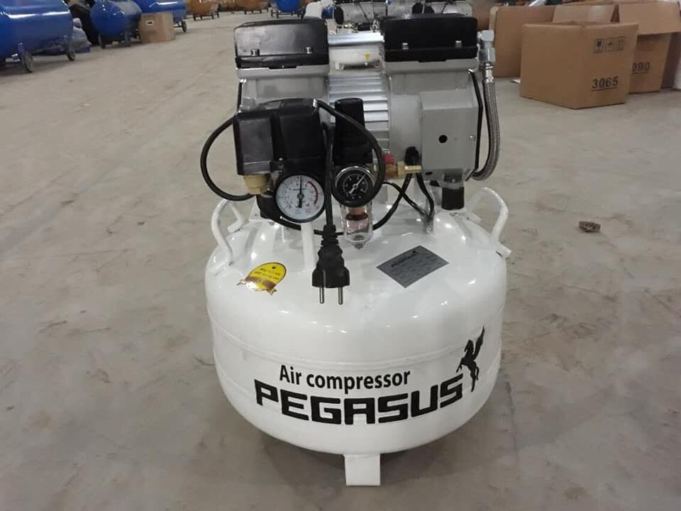Máy nén khí không dầu Pegasus 1HP 40L TM-OF750-40L