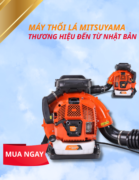 Sản phẩm mới
