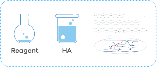 EXTENSIVE MODIFICATION OF HA