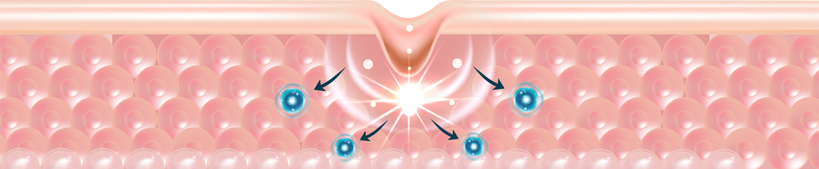 Exosomas de origen vegetal