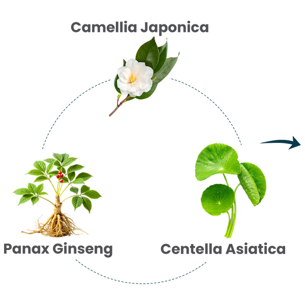 Exosomas de origen vegetal