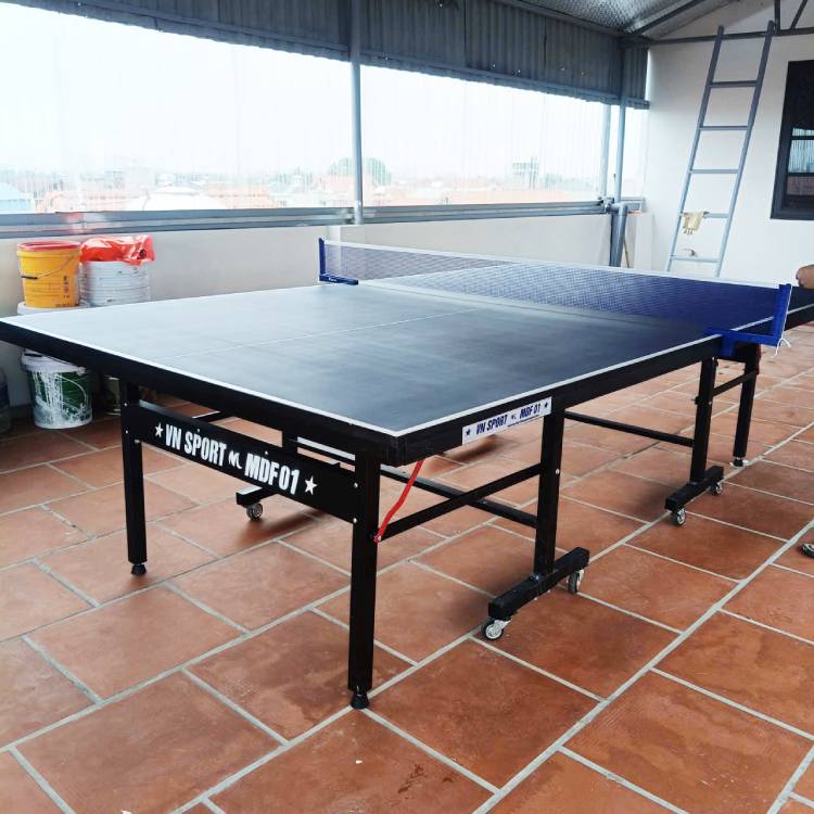 Bàn bóng bàn VinaSport MDF-01