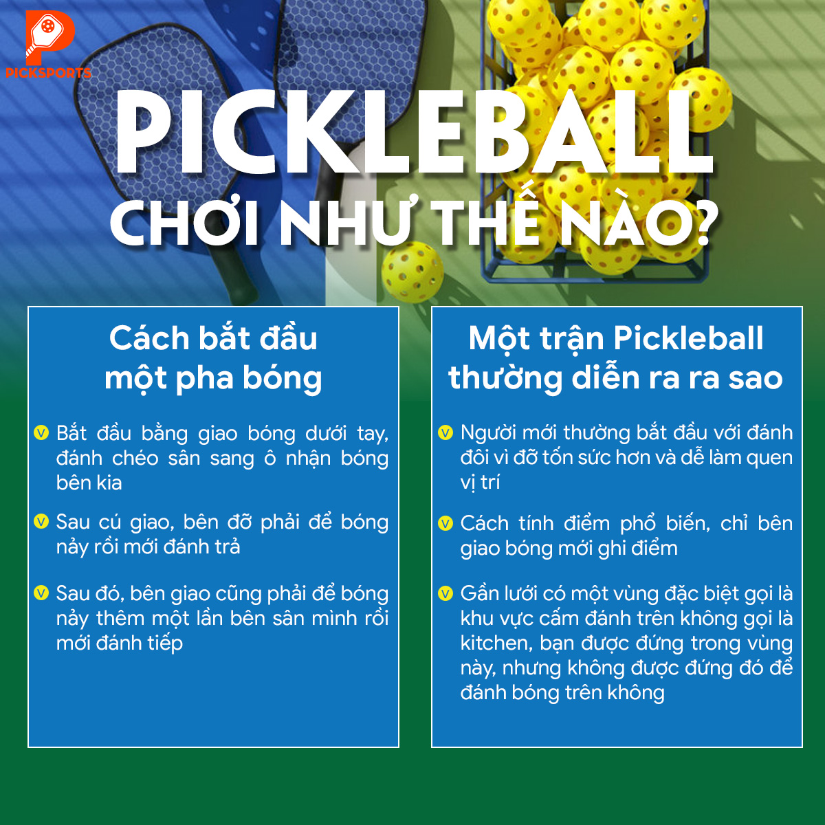 Pickleball là gì - Picksports.vn