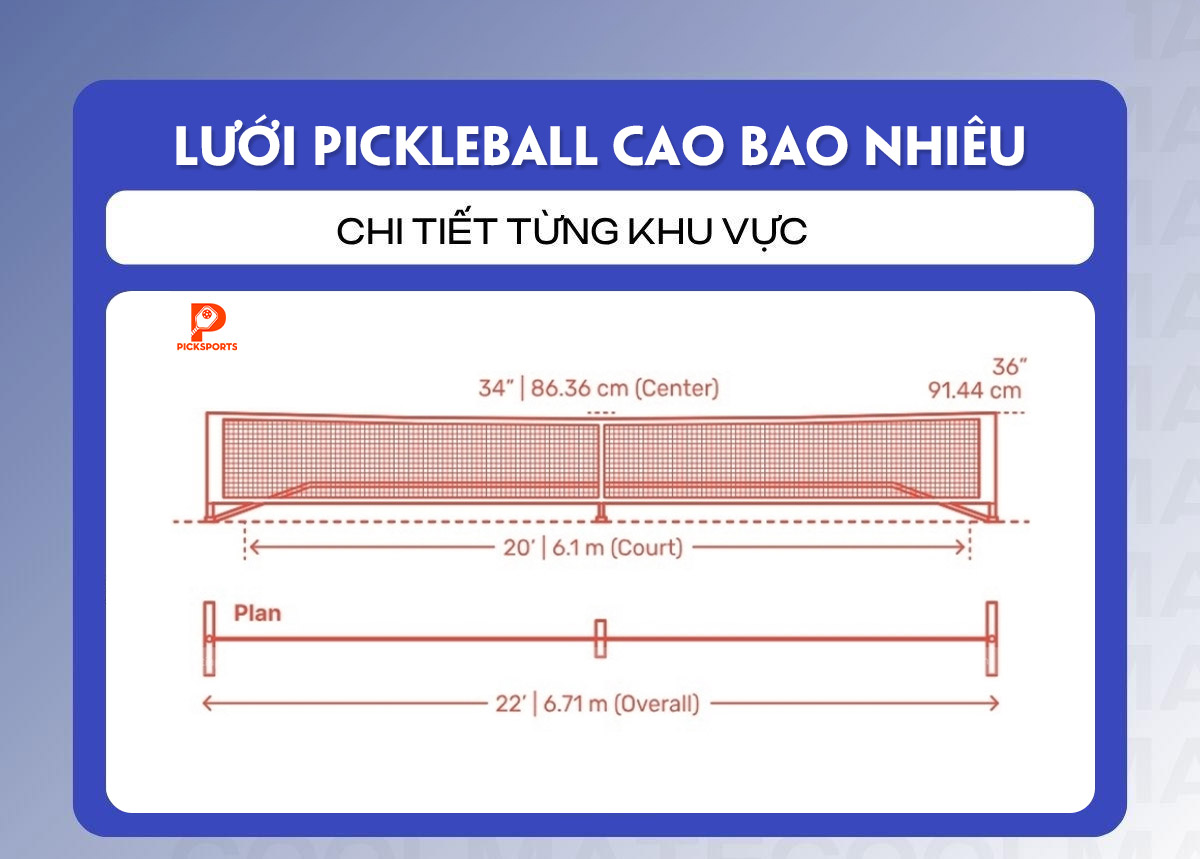 Sân Pickleball bao nhiêu mét - PickSports.vn