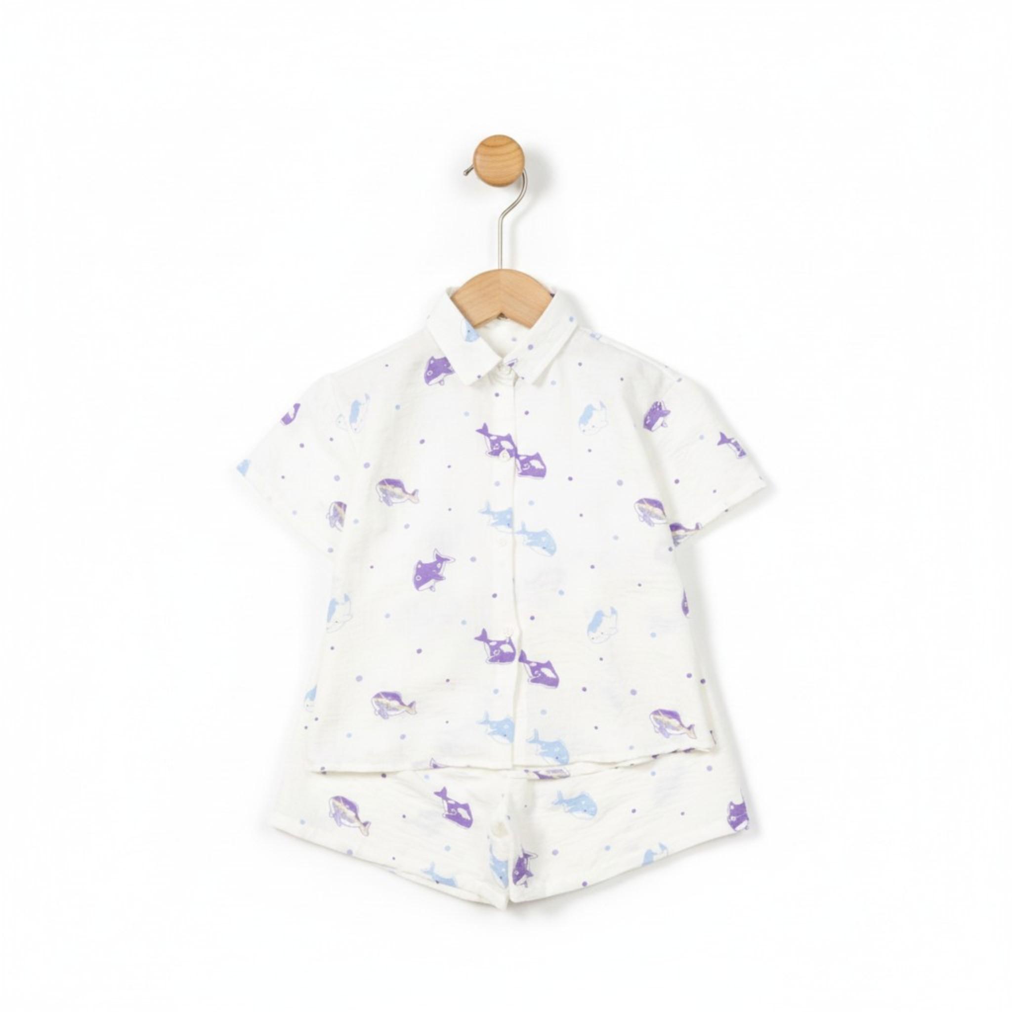 Bộ cotton trẻ em - bé trai B002 4/10 PH1136