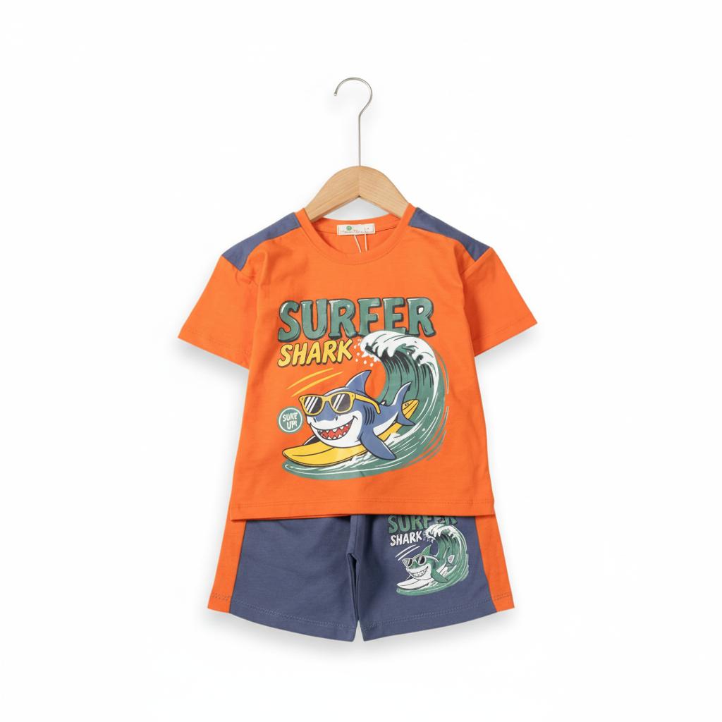 Bộ cotton trẻ em - bé trai B003 2/10 TS12 Lô 2
