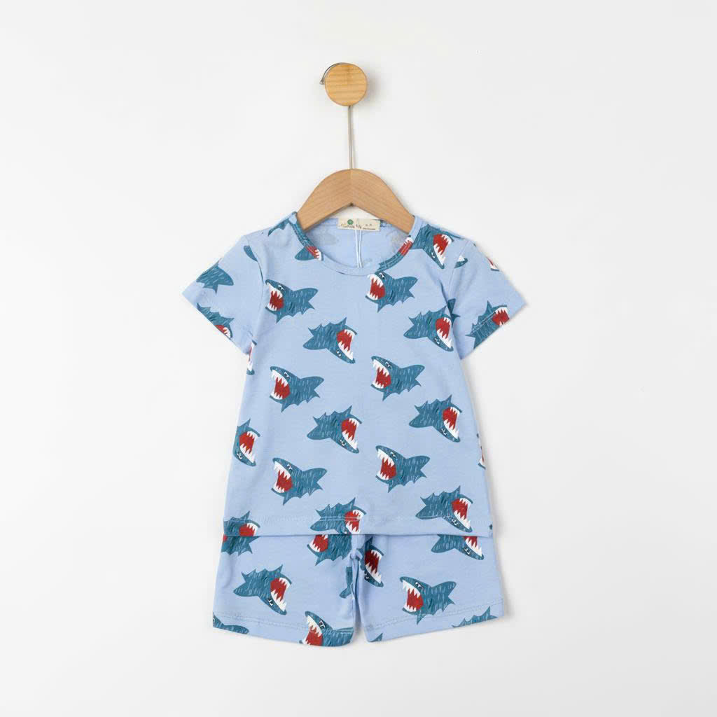Bộ cotton trẻ em - bé trai B004 2/10 TS20
