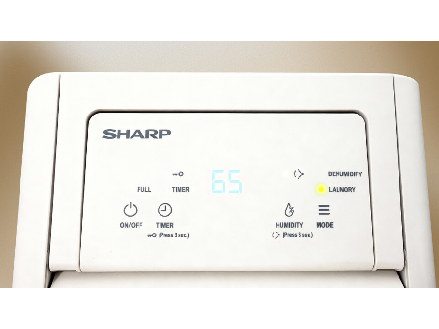 Máy hút ẩm Sharp DW-P12HV-W