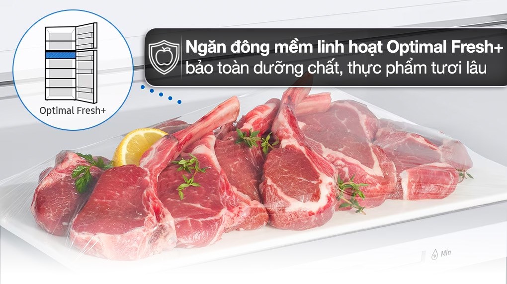 Tủ lạnh Samsung Inverter 406 lít RT42CG6584B1SV