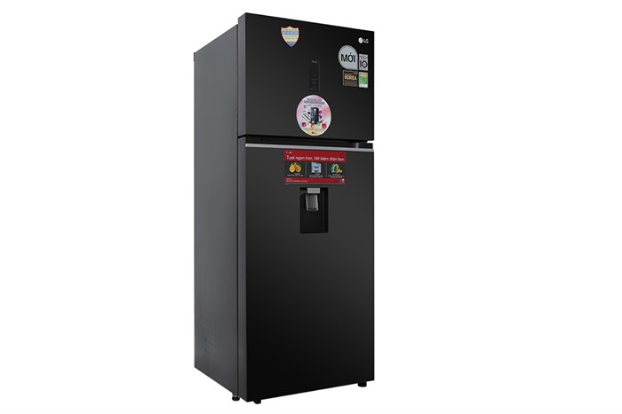 Tủ Lạnh LG Inverter 394 lít GN-D392PSA