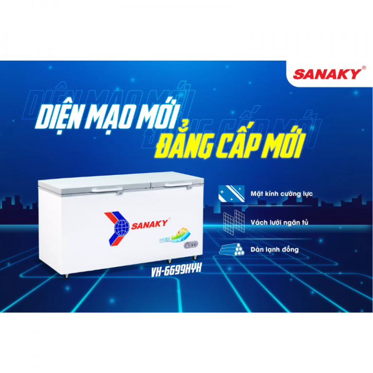 Tủ đông Sanaky VH-6699HYK