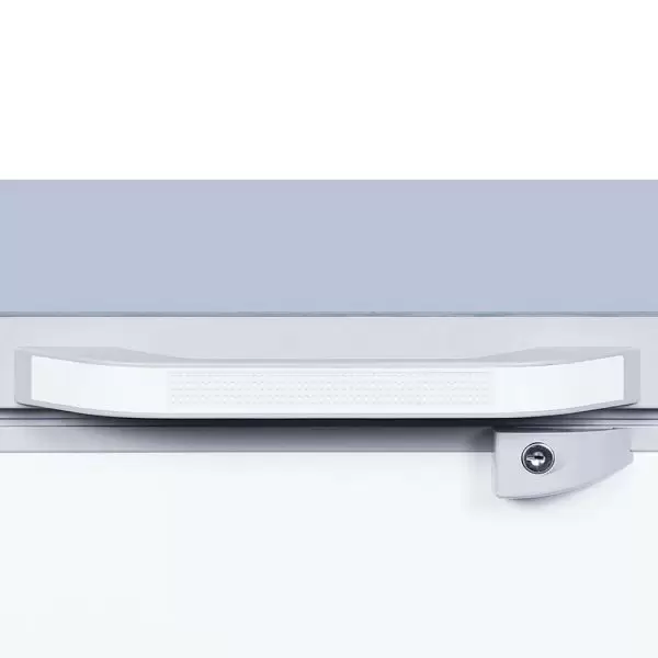 Tủ đông Inverter Sanaky 360l VH-3699W4K