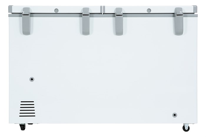 Tủ Đông Sanaky VH-5699W3