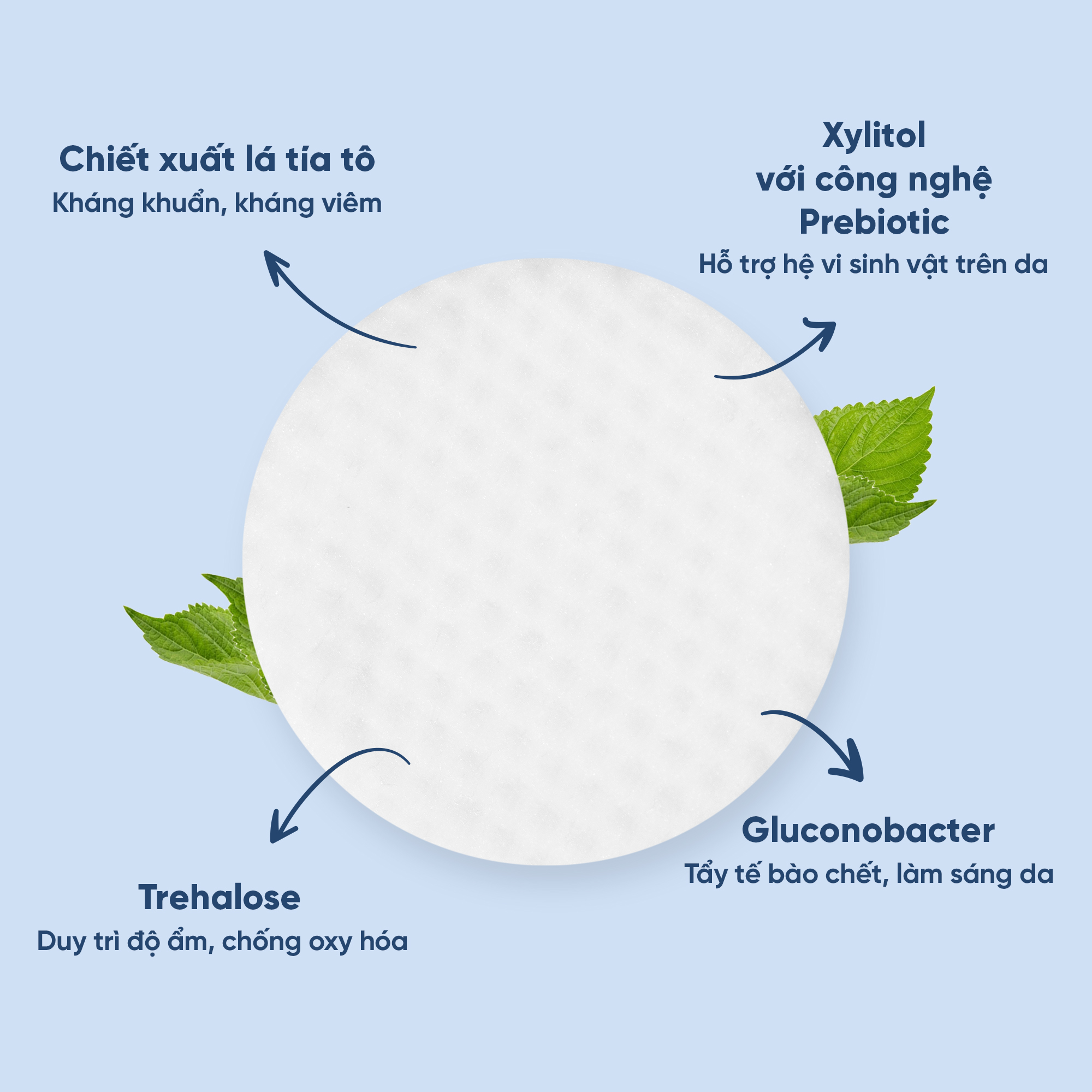 Toner Pad Tứ Thân