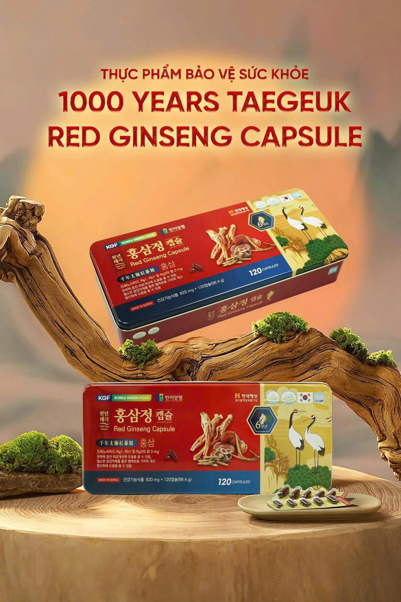 Viên đạm hồng Sâm nhung hươu Linh Chi 1000 Years Taegeuk Red Ginseng Capsule hộp 120 viên