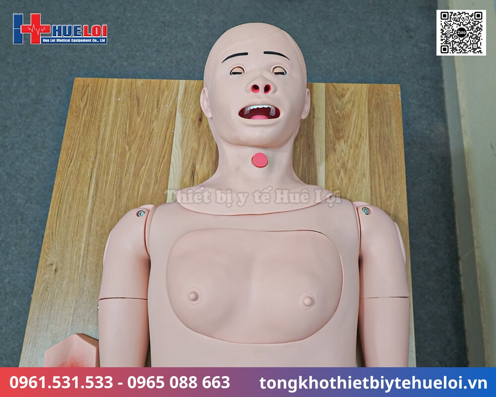 mô hình điều dưỡng toàn thân