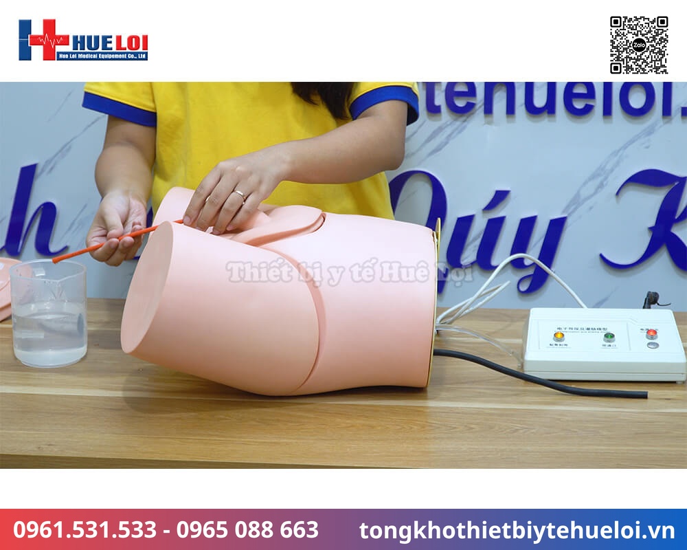mô hình sonde tiểu và thụt tháo nam nữ