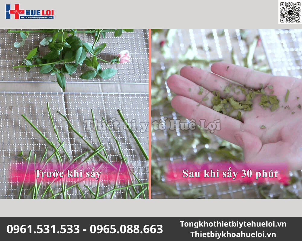 tủ sấy thuốc nam