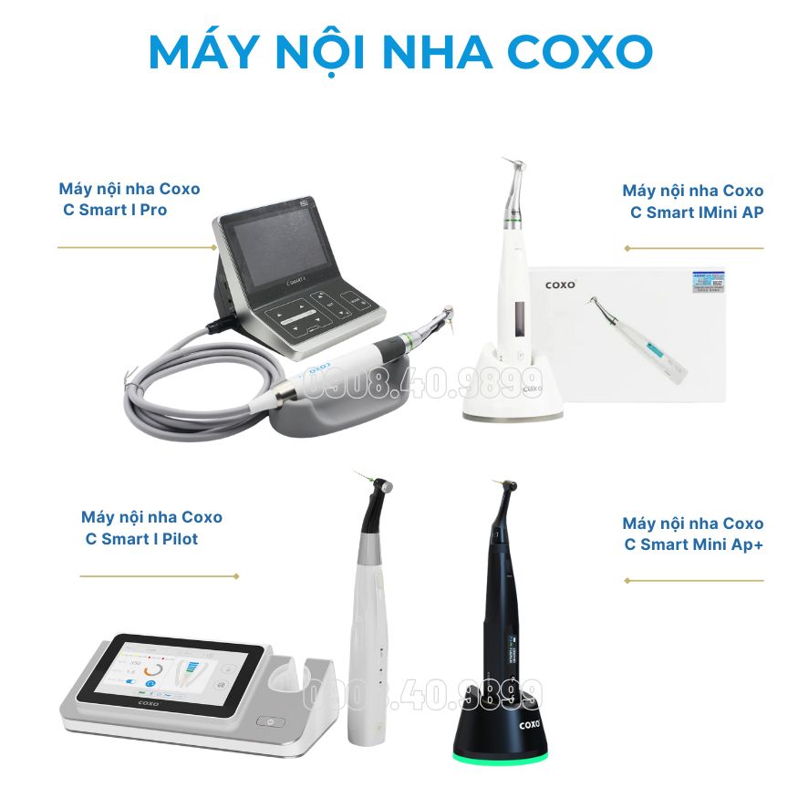 Tất tần tật về máy nội nha Coxo: Hướng dẫn lựa chọn phù hợp