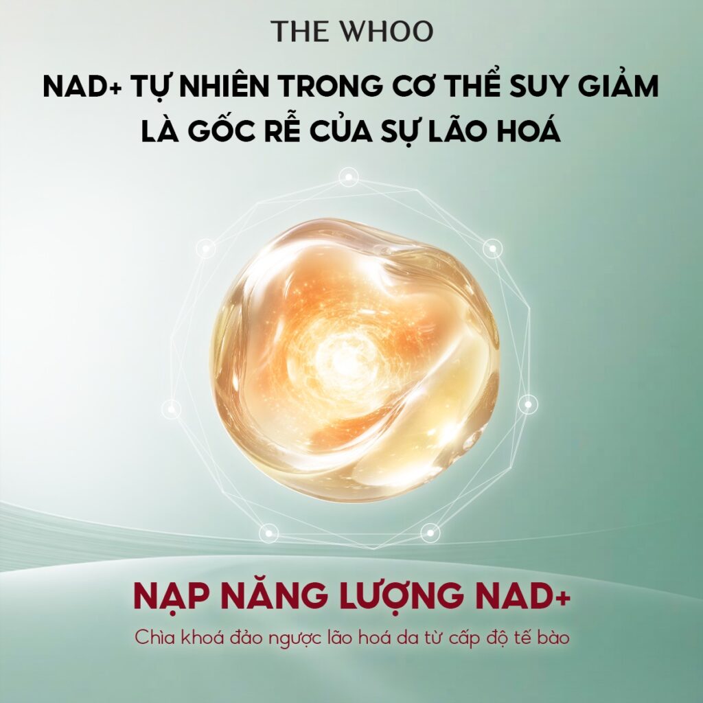 Bộ 3 sản phẩm The Whoo UV Ultimate Brightening Tone-Up Sun Special Set