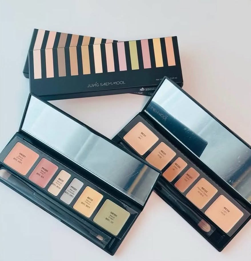 Bảng che khuyết điểm triệt sắc Jung Saem Mool Artist Concealer Palette 6.6g
