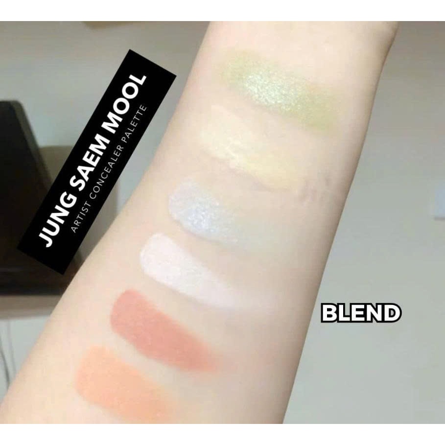 Bảng che khuyết điểm triệt sắc Jung Saem Mool Artist Concealer Palette 6.6g
