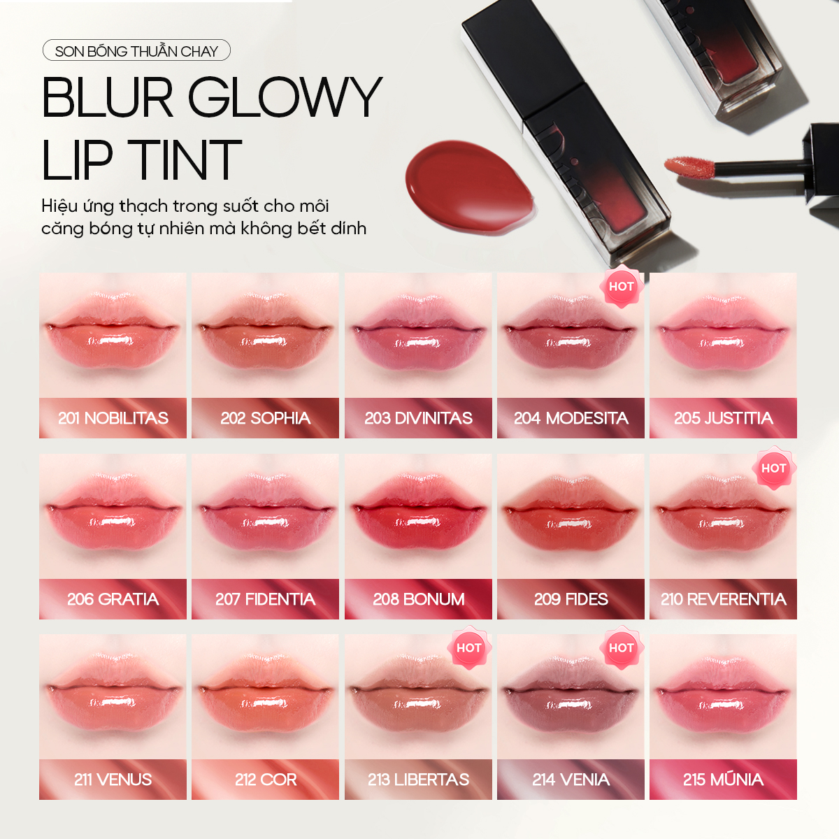 Son Tint Bóng Dinto Blur-Glowy Lip Tint 3.5g