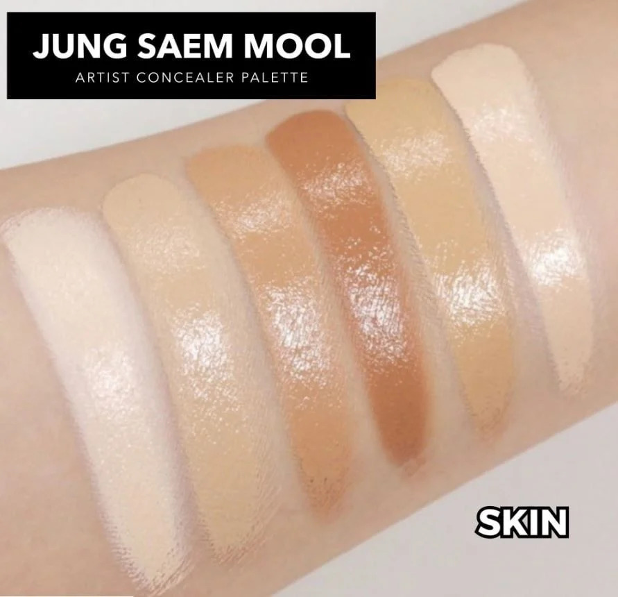 Bảng che khuyết điểm triệt sắc Jung Saem Mool Artist Concealer Palette 6.6g