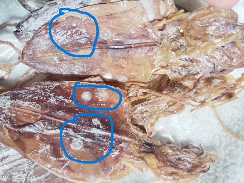 Cách xử lý mực khô bị mốc nhẹ tại nhà cực đơn giản (Không phải ai cũng biết)