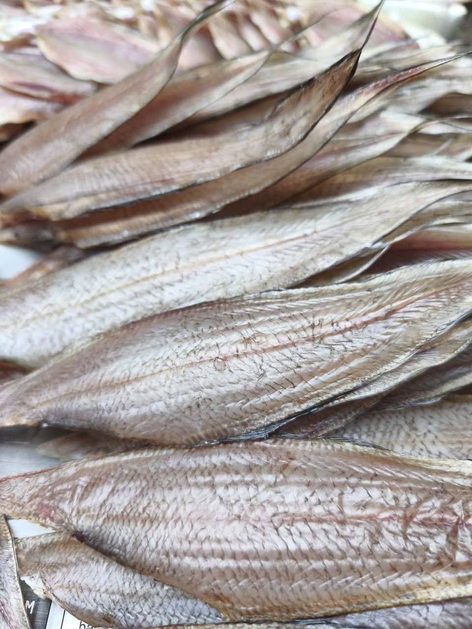 Cá Bơn 1 nắng (Gói 500g giá 90000đ)