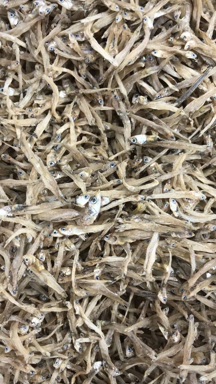 Cá Bờm (Gói 500g giá 125000đ)