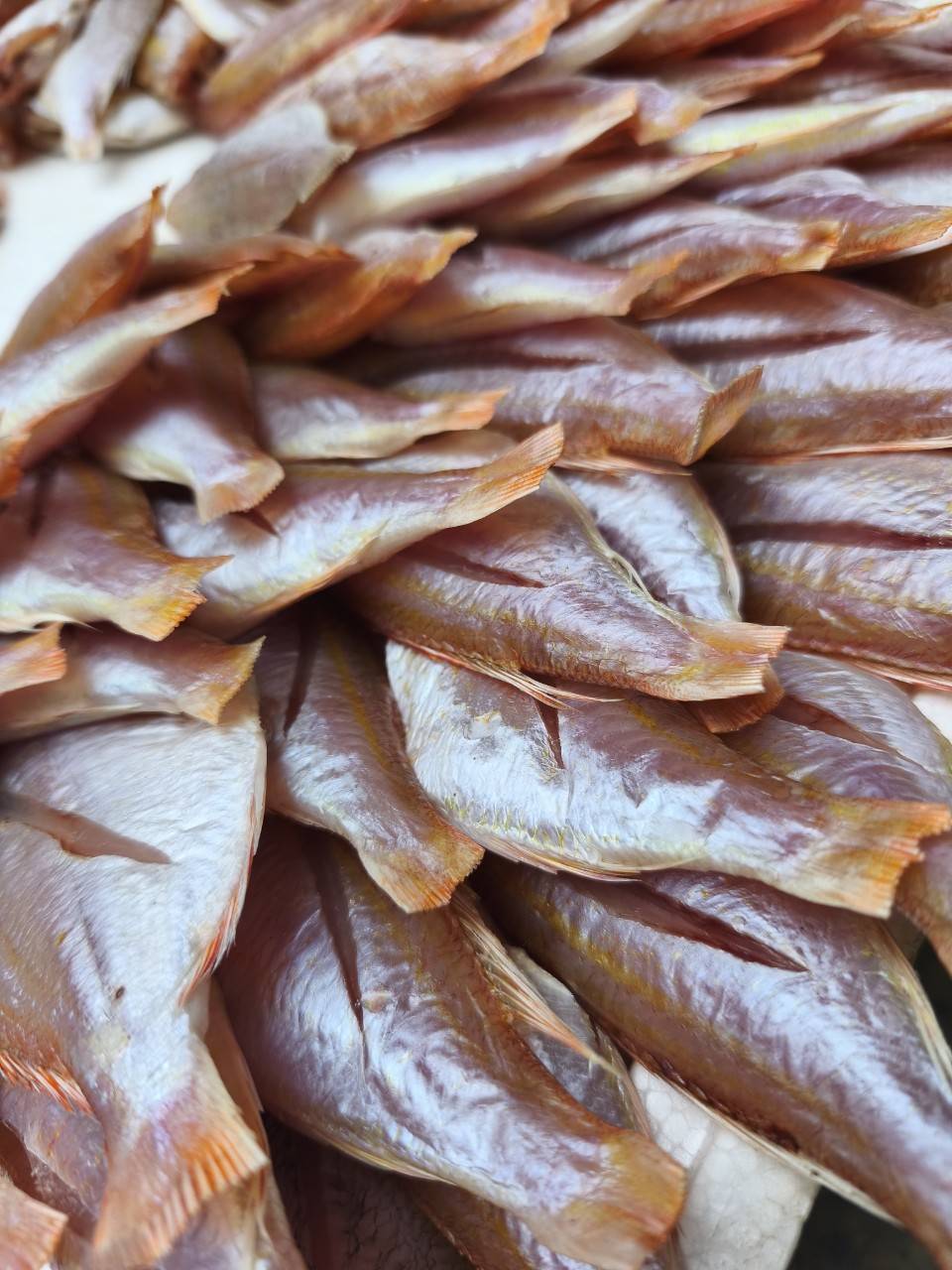 Cá Phèn Hồng 1 nắng (Gói 500g giá 90000đ)