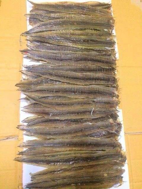 Cá Lươn (Gói 500g giá 150000đ)