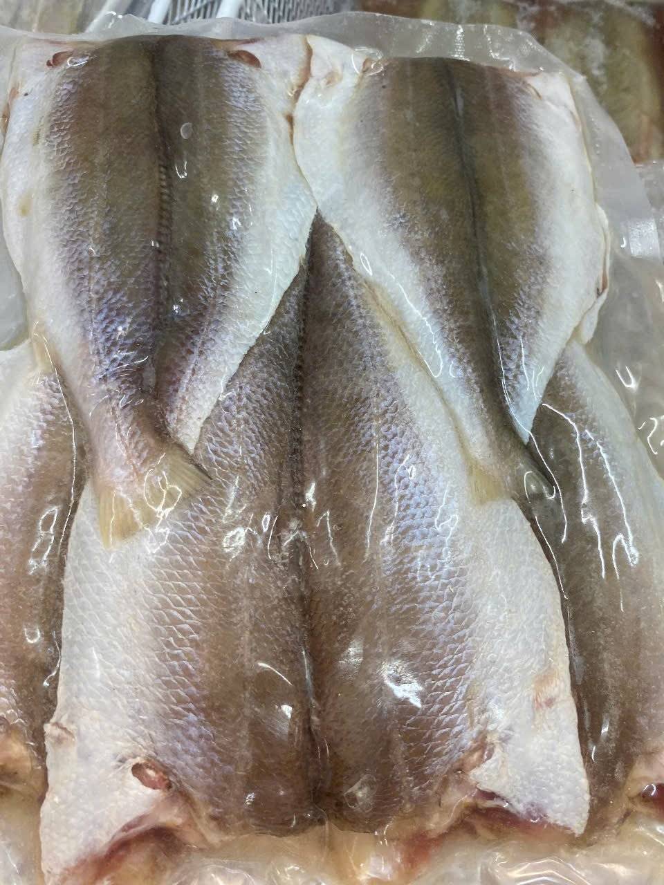 Cá Lanh 1 nắng (500g)