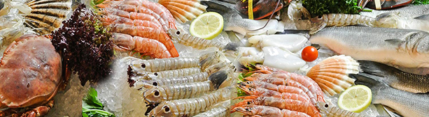 SeaFood