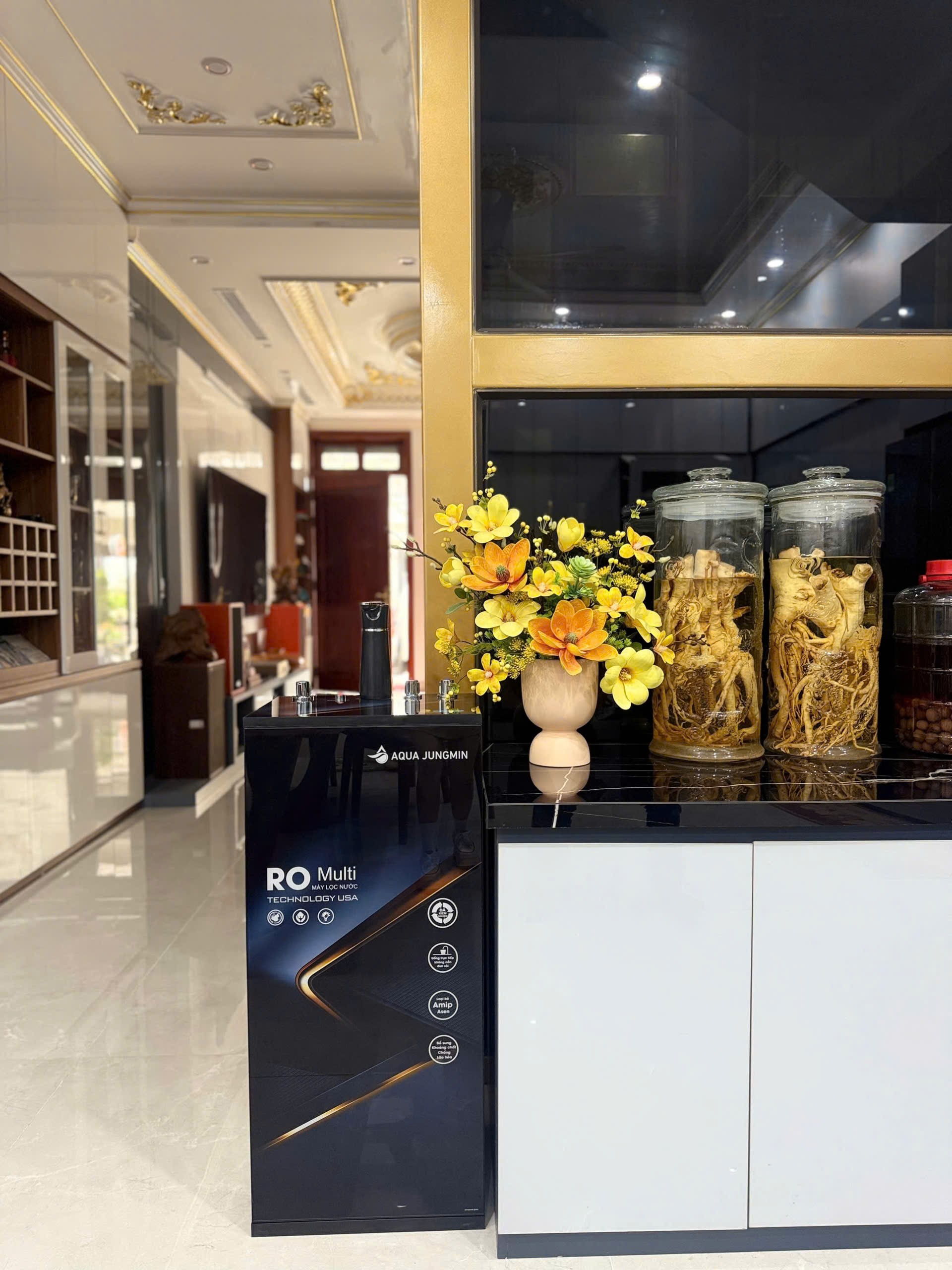 Máy lọc nước aquajungmin 1 vòi 3 chế độ 9 cấp lọc
