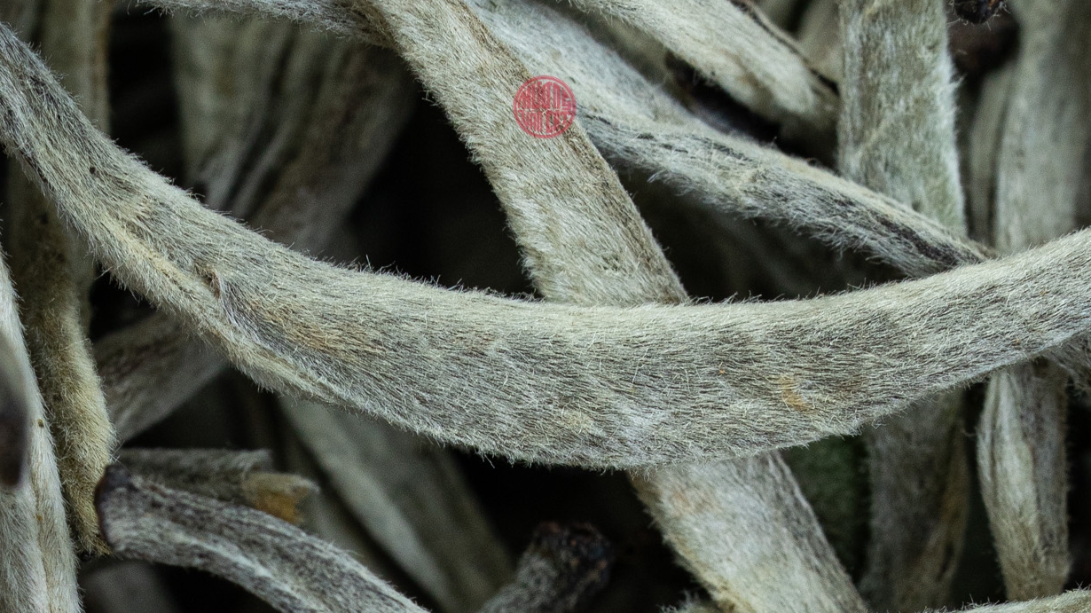 Đẳng Cấp Của Những Búp Trà Hái Trước Tiết Thanh Minh