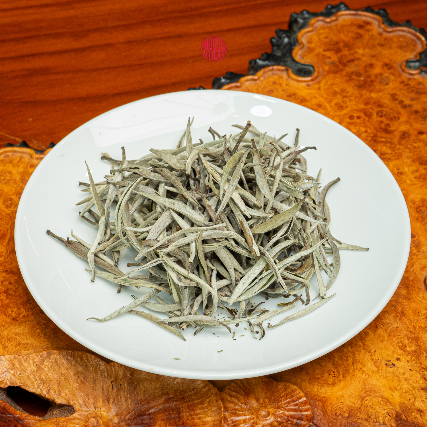 BẠCH TRÀ SHAN TUYẾT CỔ THỤ VỤ XUÂN BÚP TO