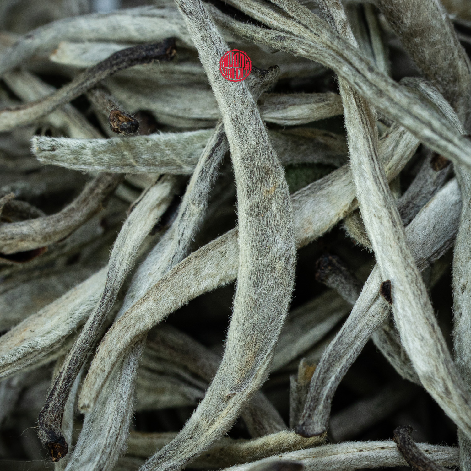 TRÀ CỤ-PHỤ KIỆN
