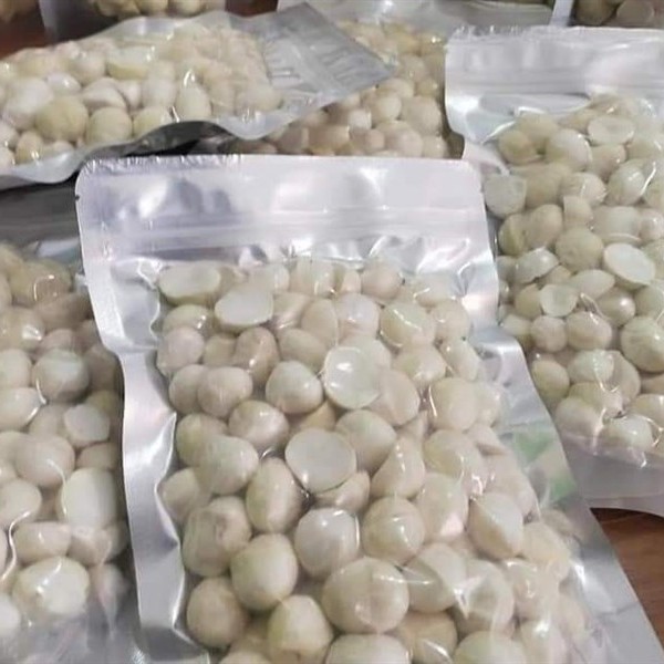 Nhân Macca Đắc Lắc nhân vỡ 500gr ( Hộp)
