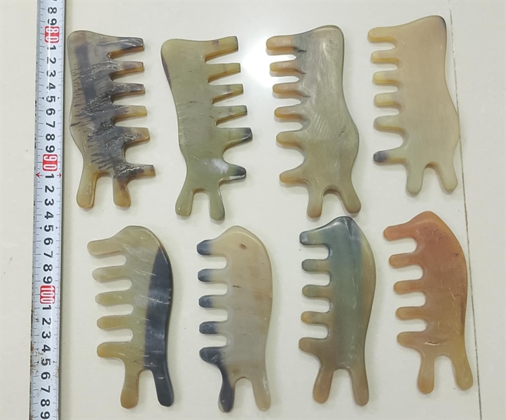 Sừng Trâu bạc con ngựa 11cm