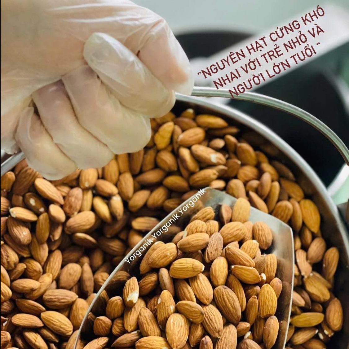 Bơ Hạnh Nhân 200gr Yorganik